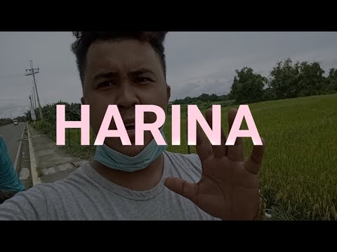 Video: Paano Sukatin Ang Harina