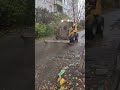 🍂 Уборка листвы и грязи на проездах дворовых территорий города Ликино-Дулево.