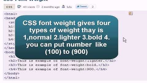 Css tutorial :css font weight