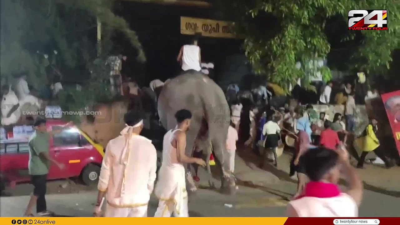 പാലക്കാട് പട്ടാമ്പി നേര്‍ച്ചാഘോഷത്തിനിടെ ആനയിടഞ്ഞു