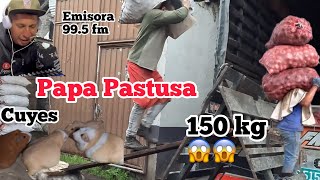 Cargando unos de los mejores productos agrícolas de Colombia (Papa Pastusa)