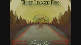 Video thumbnail of "Three Legged Fox - Higher Love | Reggae/Rock"