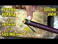 Unik! Membuat Suling Sunda dari Pelepah Pepaya dan Ubi Jalar