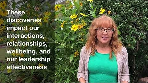 Leadership, Influence, and Engagement: The SCARF Model