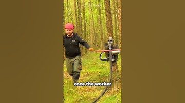 The Tree-Climbing Machine That Trims Branches in Seconds!