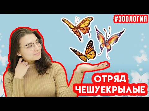 Чешуекрылые | Зоология #11 | ЕГЭ БИОЛОГИЯ