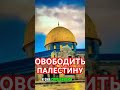Освободить Палестину