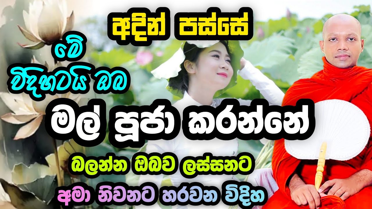 මේ විදිහටයි ඔබ මල් පූජා කරන්නේ | Hasalaka Seelawimala  | හසලක සීලවිමල | #hasalakaseelawimalathero