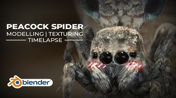 Peacock Spider Modelling|Texturing Timelapse (Blender)