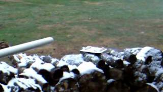 Gingerbread house explosion