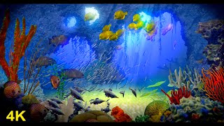 2 Hours of Beautiful Coral Reef Fish, Relaxing Ocean Fish, \& Stunning Aquarium Relax Music