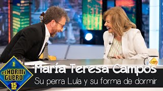 María Teresa Campos confiesa la peculiar forma que tiene de dormir con su perra Lula  El Hormiguero