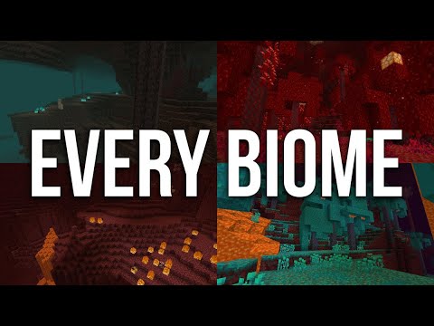 Every NEW BIOME in the Nether Update Minecraft 116 Snapshot 20w06a