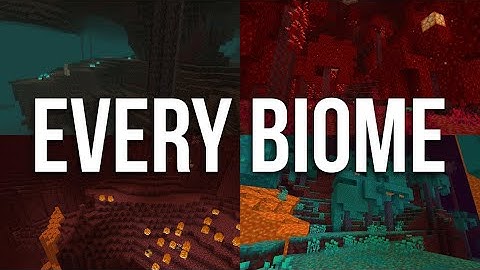 Every NEW BIOME in the Nether Update Minecraft 1.16 Snapshot 20w06a!
