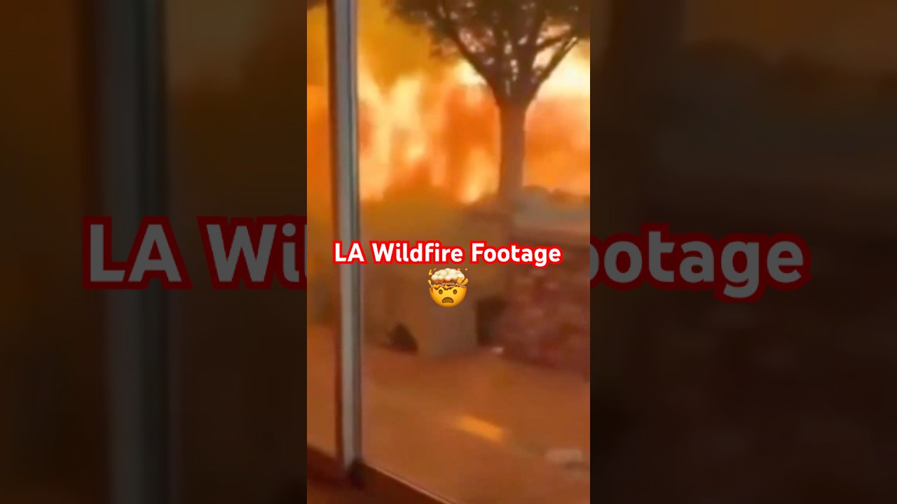 Home footage from the Los Angeles Wildfire😳 