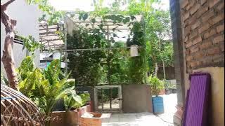 pladuk semak gacor di aviary