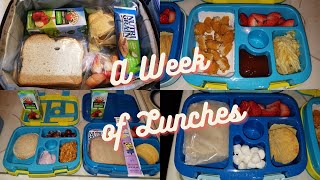 A Week of School Lunches  week 12