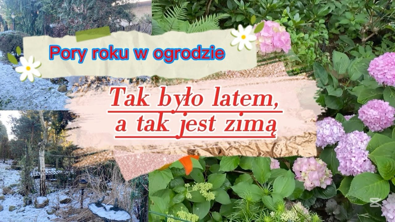 Letnie 🌺i zimowe ⛄️spojrzenie na ogród 