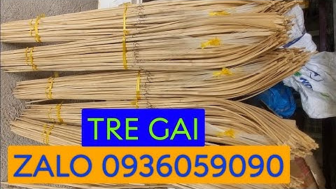 Cung cấp cần câu cắm cá lóc zalo 0936059090. Cần cân cắm cá lóc bằng tre gai. Bán cần câu cắm.