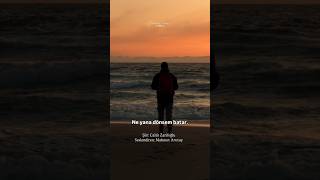 Bir Duruşu Olmalı İnsanın Bir Bakışı Bir Aşkı Bir Davası Olmalı