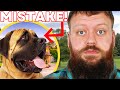 Harmful Things You Do To Your Dog Everyday Without Knowing