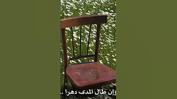 اينسى القلب انسانا Shorts اكسبلور 
