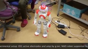 Eight commands cVEP BCI for direct brain-robot control