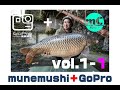 ムネムシ+GoPro  大阪鯉釣り【vol.1-1】