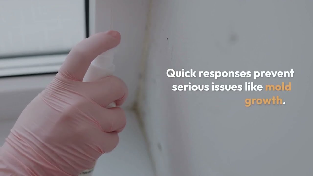 Emergency AC Repair Near Me: What to Expect and How to Prepare