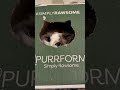 Cats Are Obsessed With the Purrform Playbox!