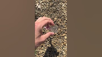 I have viral Minecraft keychain 🤯🤯🤯🤯