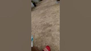 Ilmu kebal sumatra selatan,wkwkwkw
