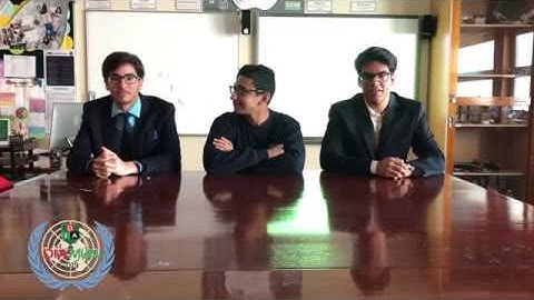 Security Council | Committee Introduction Videos | DIAMUN 2019