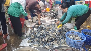 Chợ đầu mối bình điền sáng chủ nhật tôm càng đổ đống 80k cá biển 30k cá lăng 70k cá lạc 50k 