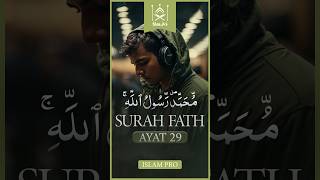 Surah Al Fath - Ayat 29 | Muhammadur Rasoolul laah -