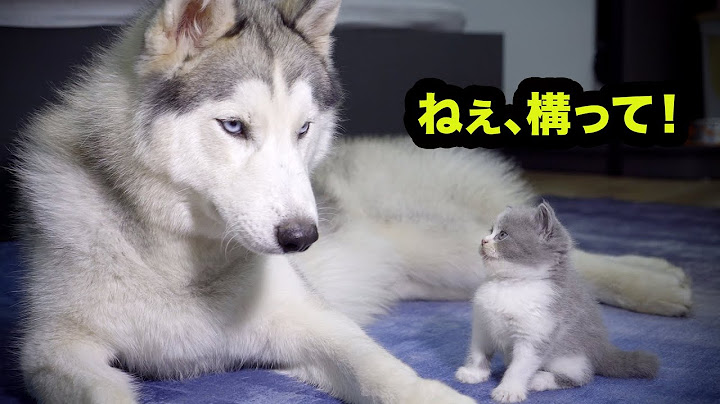 ホーム Youtube