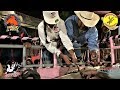 ¡NIÑA DE 9 AÑOS PONIENDO VERIJEROS!  RANCHO EL MORRAL EN DELANO CA