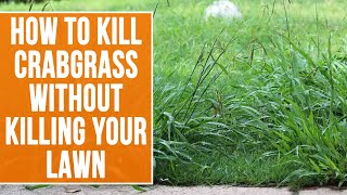 How To Kill Crabgrass Without Killing Your Lawn