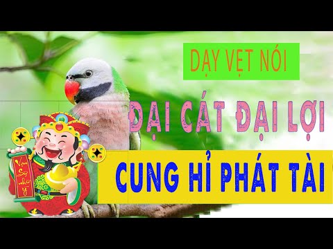 Video 005. Dạy vẹt nói ĐẠI CÁT ĐẠI LỢI - CUNG HỈ PHÁT TÀI |... - youtube