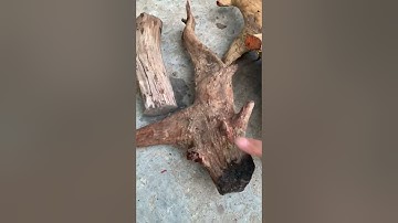 Review 4 cục trắc đỏ đen krôngpa đặc tịt tinh lõi 15kg đục tiện đều víp ạ giá lh0338918991 thương gỗ