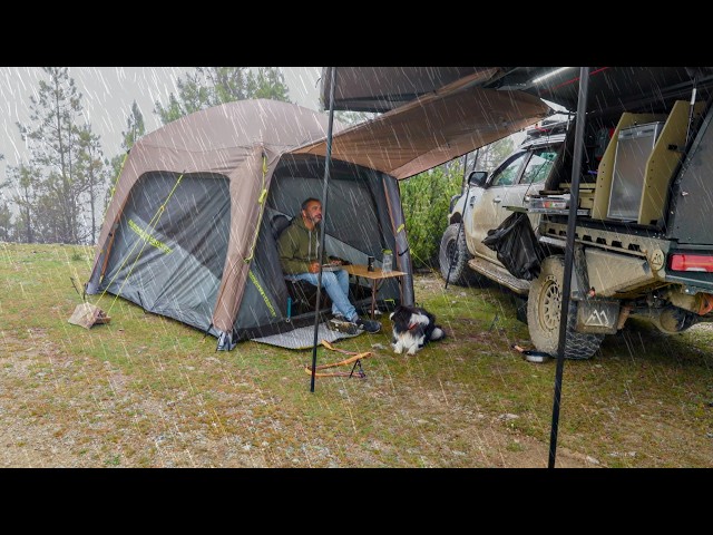 Rain Camping In Air Tent With Dog class=