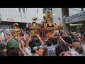 吉祥寺秋まつりの神輿がすごかった