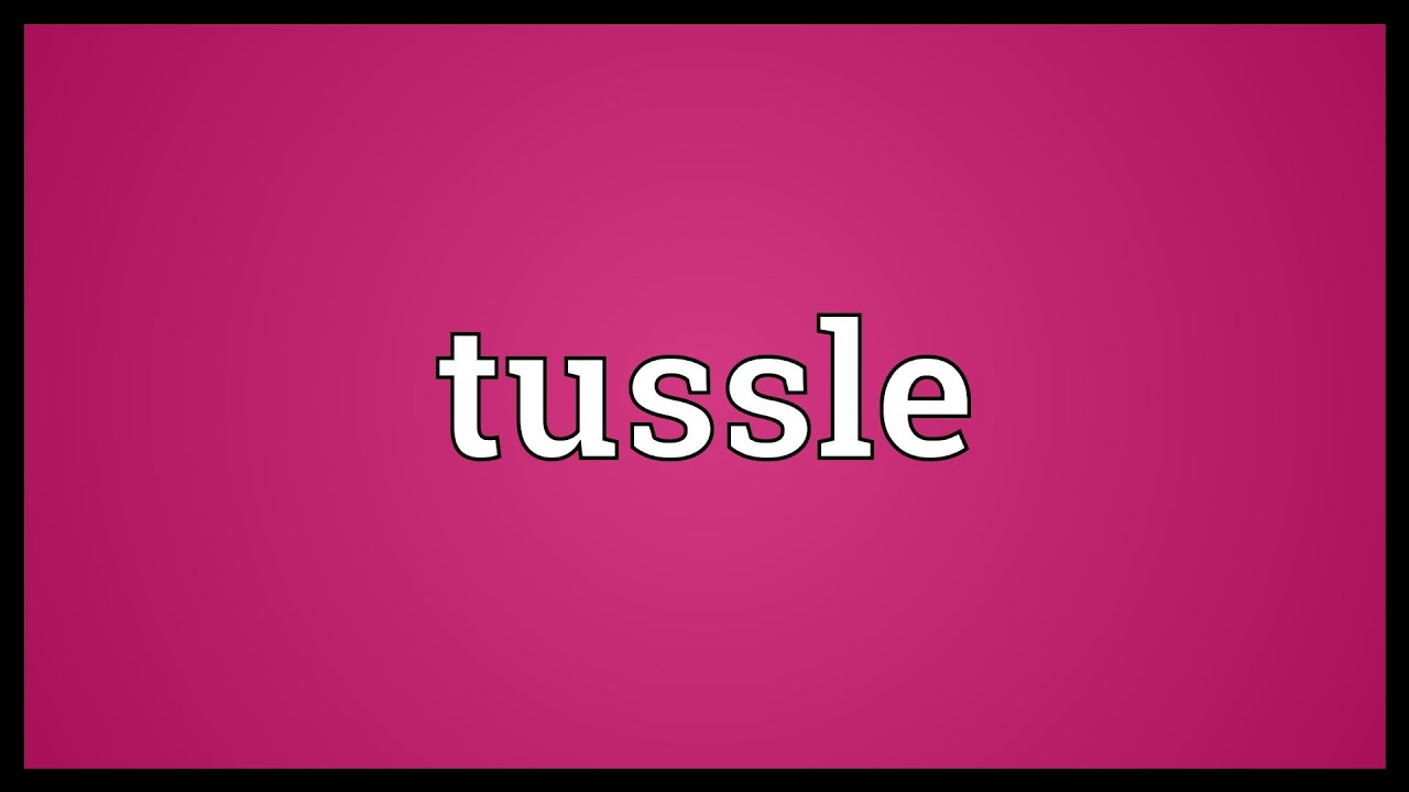 Tussle Meaning - YouTube