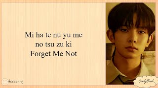 ENHYPEN 'FORGET ME NOT' EASY LYRICS