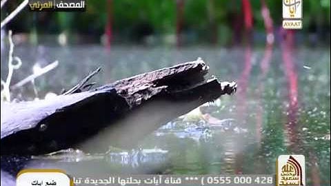سورة الأنفال الشيخ ياسر الدوسري 41 75