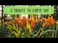 What Earth Day Means to Me