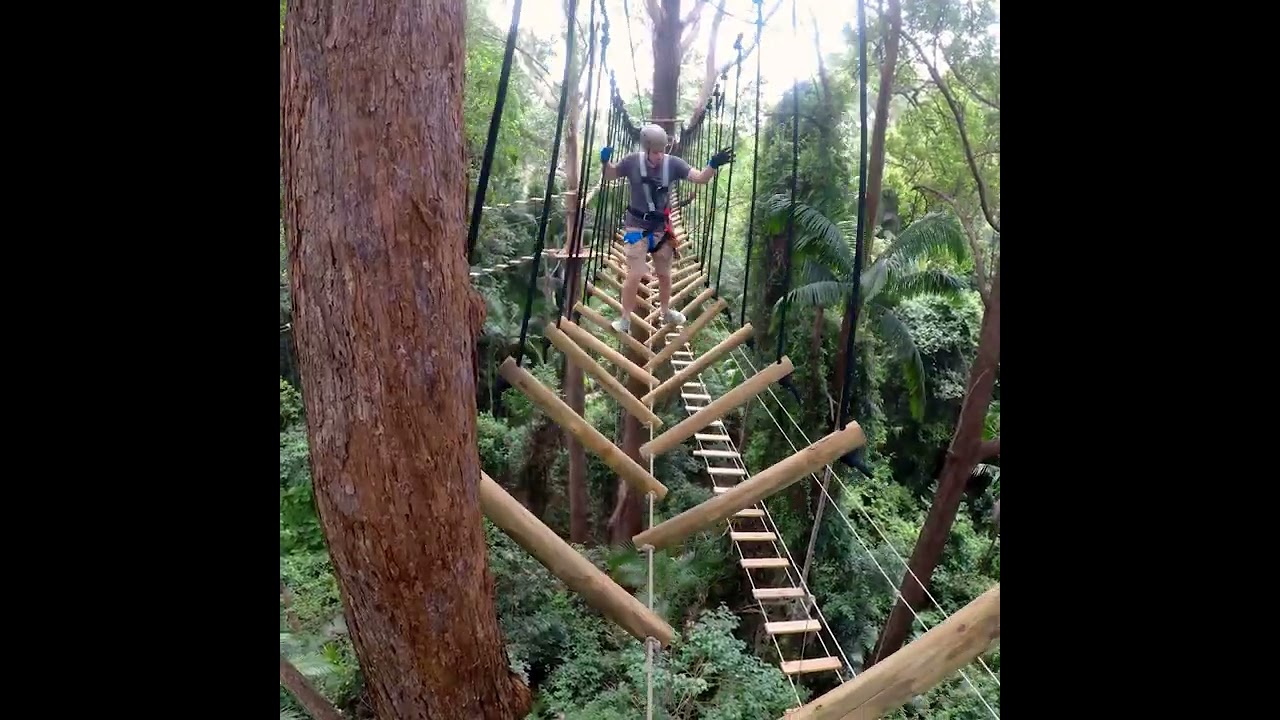 TreeTop Challenge Sunshine Coast