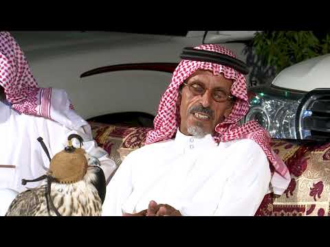 الصقار محمد بن محمود الجهني يتحدث عن الطير الذي اتعب الصقارين