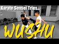 Karate Sensei Tries Chinese Martial Art Shaolin Wushu Training!