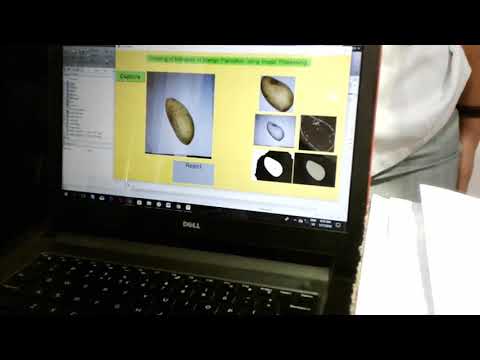 Grading of mango to mangoes plantation using image processing